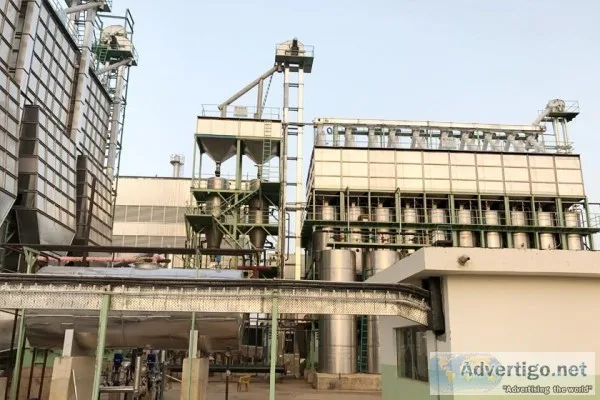 Rice Mill Plant Layout Design