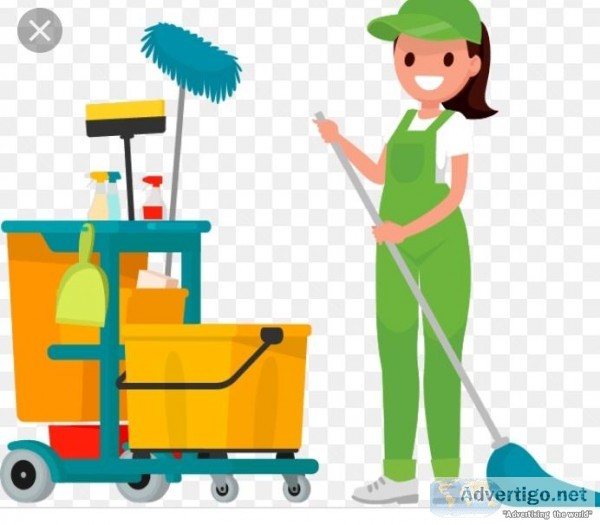 Private lady cleaner