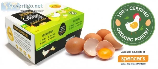 Organic eggs
