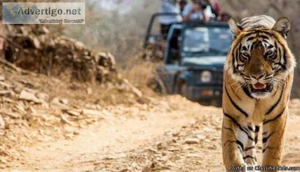 jim corbett park