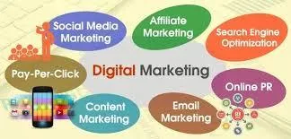 Website Designing and Development Company in Chandigarh Mohali
