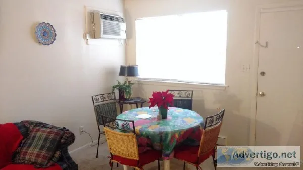 1 BR furnished apartment near ODU
