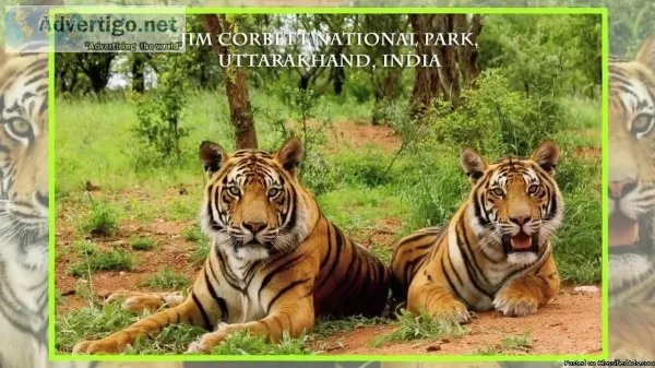 CORBETT JEEP SAFARI