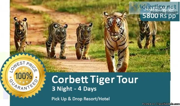 jim corbett national park