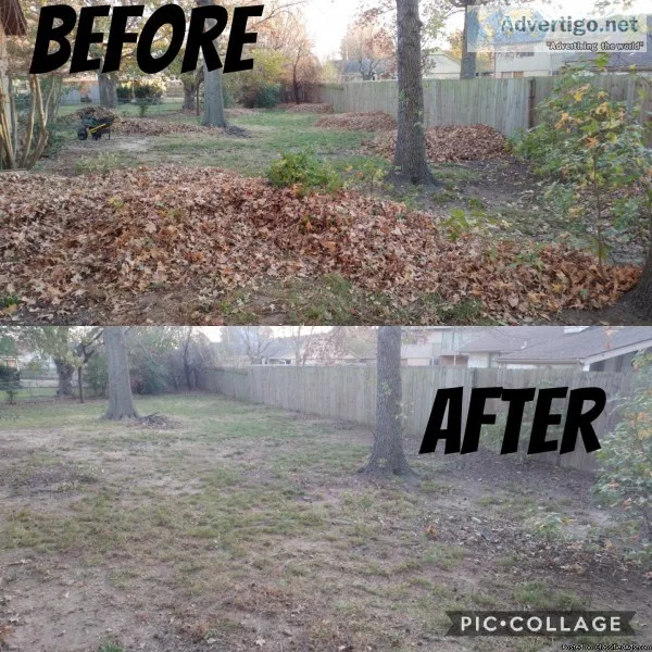 Leaf Removal  Brush Clearing