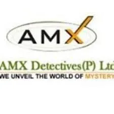 Private detective agency in delhi