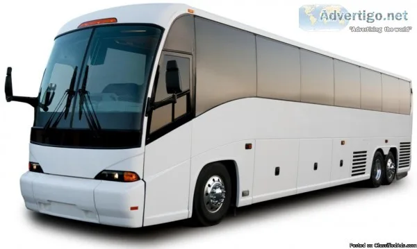 Travel Portal Designing and Development in Hyderabad