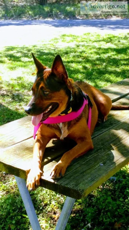 Need to rehome my Tatiana.