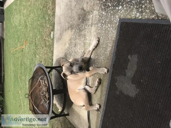 Need a good home