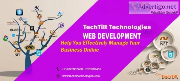 Web development services velachery