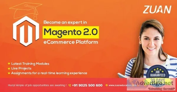 magento development training