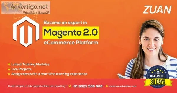 magento developer training  magento training in chennai