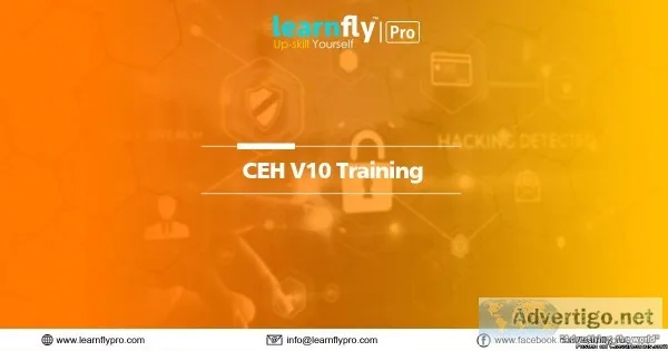 Ethical Hacking Course in Delhi-learnflyprro
