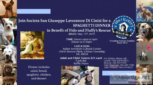 Fido and Fluffy s Rescue Spaghetti Dinner
