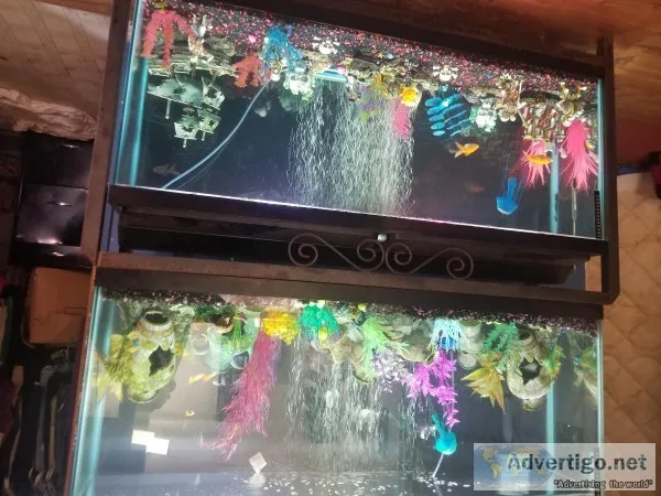 2 - 55 Gallon Fish Tanks