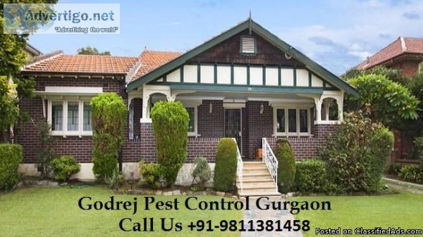 Get Pest control Gurgaon Dial 91-9811381458