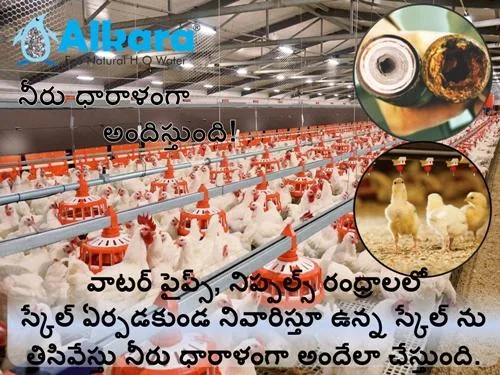 Water Softener System for Poultry farms