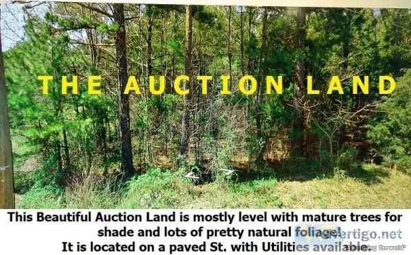 Real Estate Auction River Resort Property Boat Ramp Access