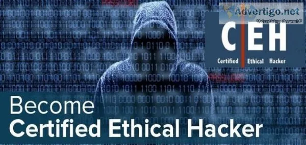 Certified Ethical Hacking Training
