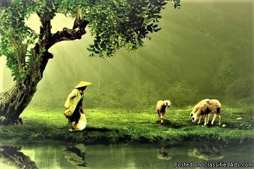 woman herding sheep