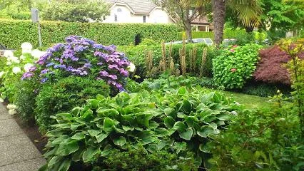 Landscape Designer in North Vancouver