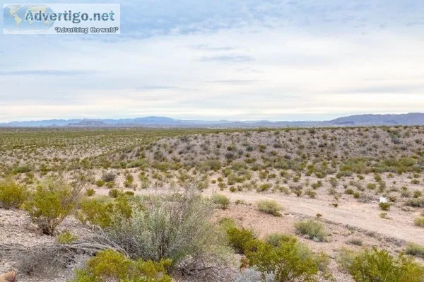 TEN ACRES WROADS in Presidio County
