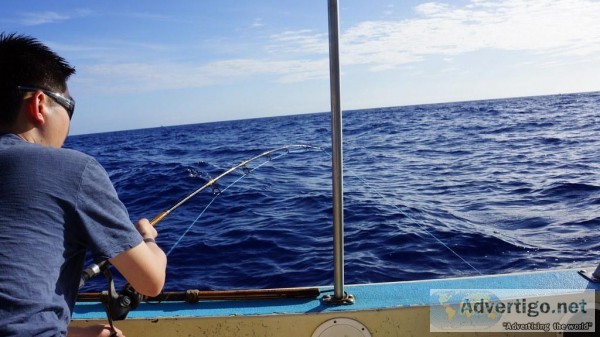 Miami Deep Sea Fishing