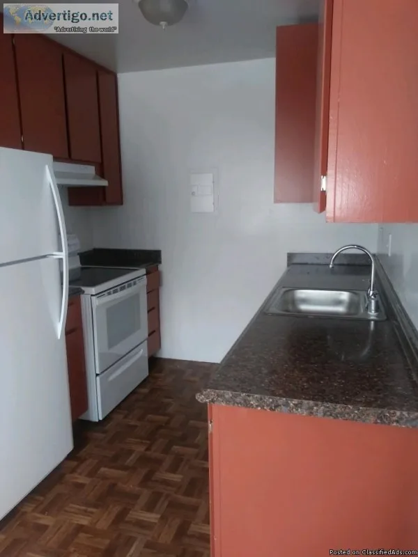 Gran OneBedroom Apartamentos - Reci&eacuten remodelada