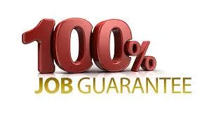 Amazing Job Opening in Online World