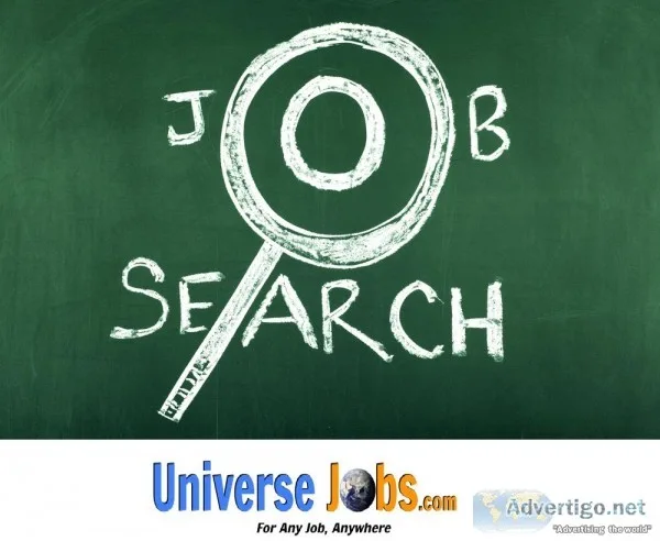 Talent Acquisition Executive (IT)
