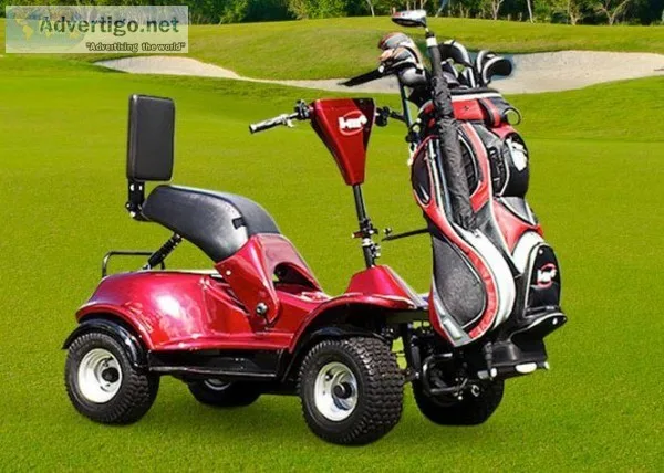 Single Rider Golf Cart - Easy Ryder 