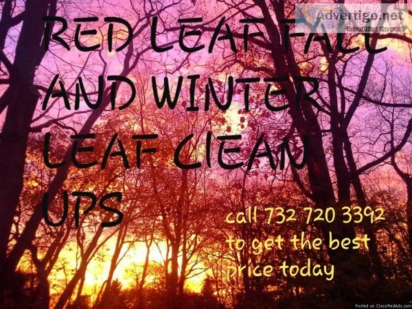LEAF CLEAN UPS