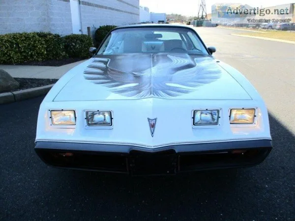 1980 Pontiac Firebird Turbo Trans Am