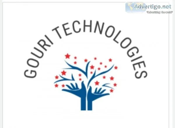 Software Associate US Based