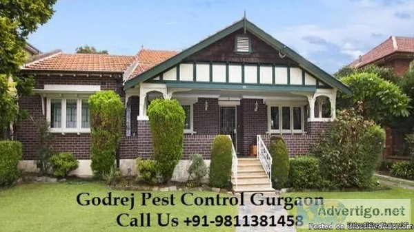 Get Pest control Gurgaon  91-9811381458