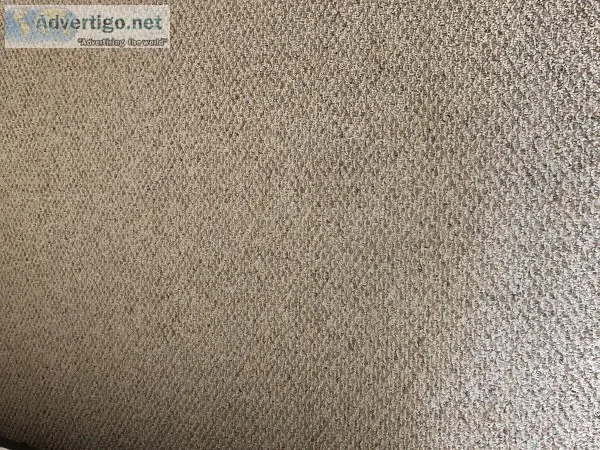 Berber carpet for g line coop city