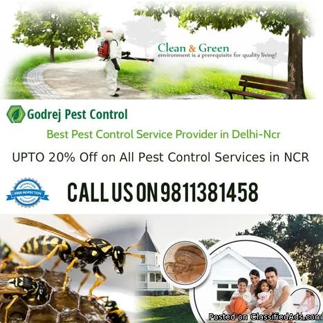 Effective Termite treatment Gurgaon dial 91-9811381458