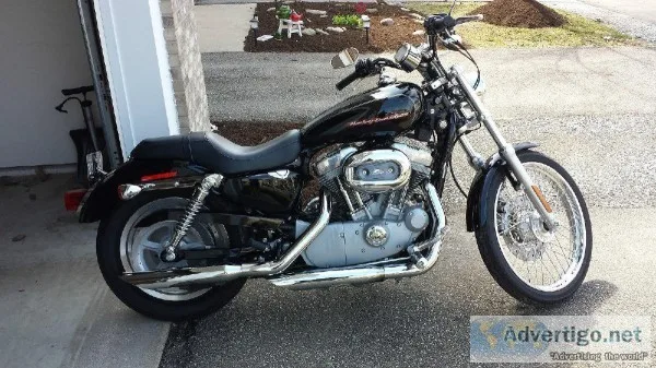Cheap 2006 Harley-Davidson Sportster