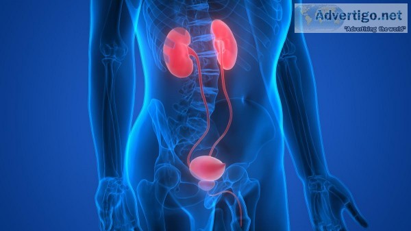 Consult Online Urologists in Mumbai Naka Nashik City