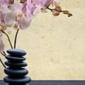 Aqua Salon and Day Spa