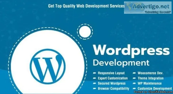 WordPress Development Services  Website Development Services