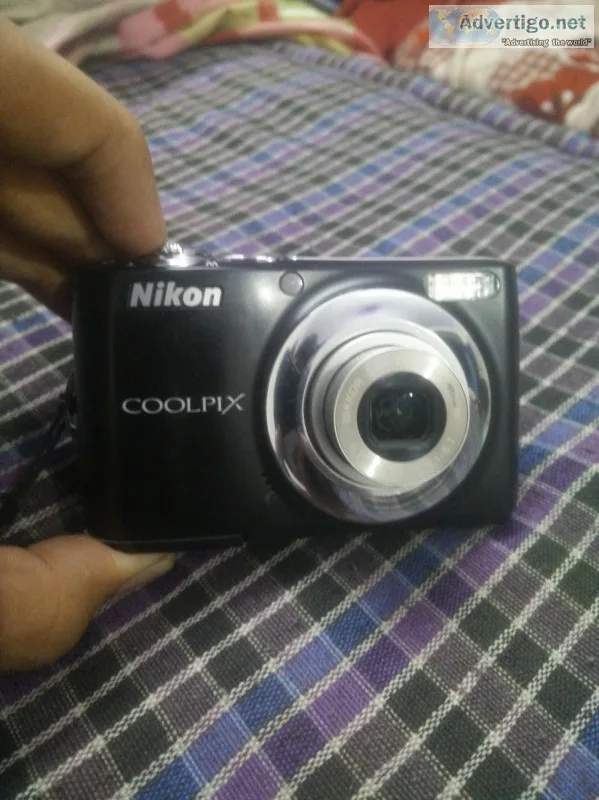 Nikon Coolpix 6 month old with bill