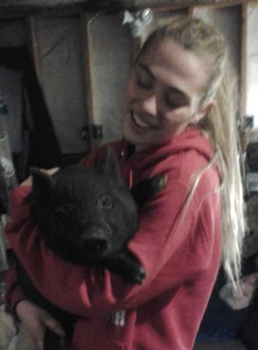 American Guinea Hog Piglets