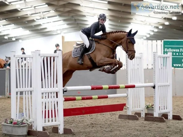 Show Jumping Lessons Spalding