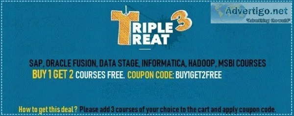 LAST  FEW   HOURS  BUY 1 GET 2 SAP VIDEO COURSES FREE