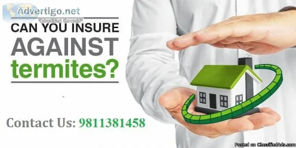 Get Termite treatment Gurgaon Dial 91-9811381458