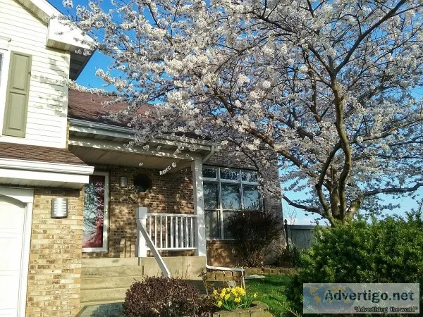 Home for Sale - St. Joe [3 bd 2.5 ba 2000 sq. ft]