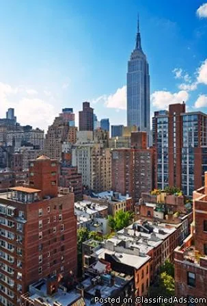 MURRAY HILL TRAVELING NOTARY and APOSTILLE SERVICES