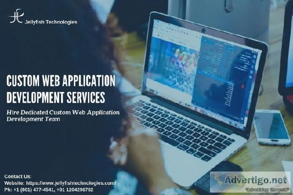 Hire Dedicated Custom Web Application Development Team
