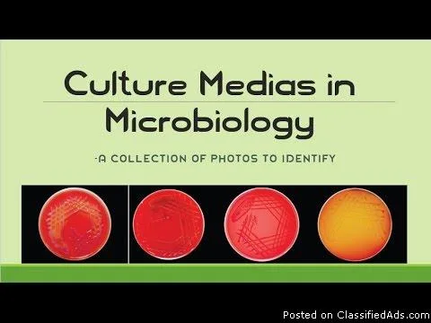 Culture Media in Microbiology